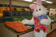 Easter Bunny picking up carrots from the green grocer